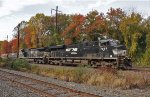 NS 7697 leads 14G past some fall colors.